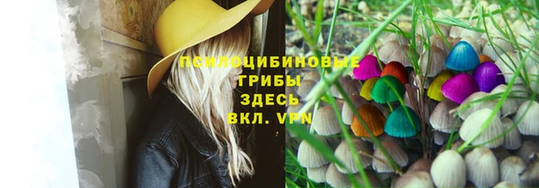 2c-b Беломорск