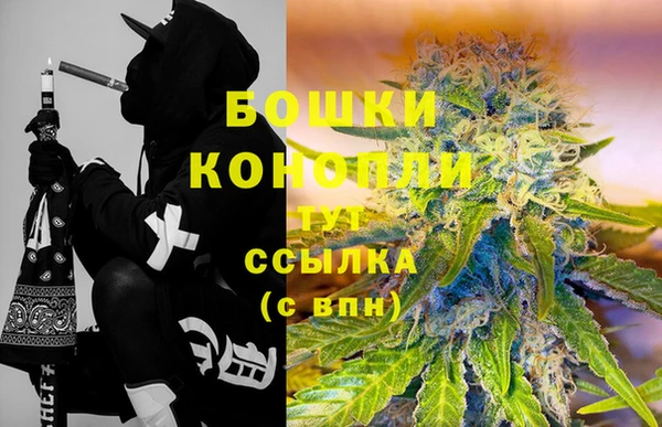 МДПВ Белокуриха