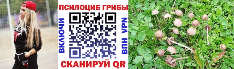 Галлюциногенные грибы MAGIC MUSHROOMS Славск