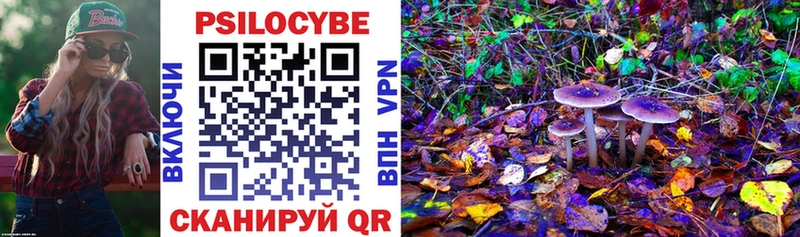 Купить закладки  Славск  Галлюциногенные грибы GOLDEN TEACHER 